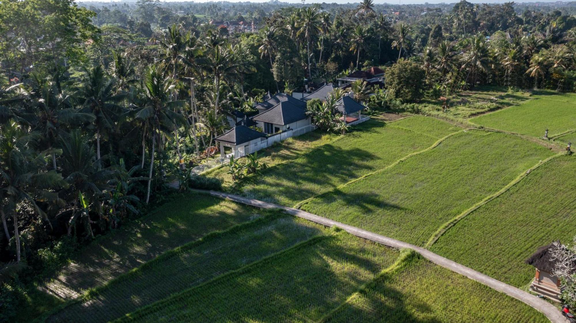 Capung Asri Eco Luxury Resort With Private Pool Villas Bedulu Esterno foto